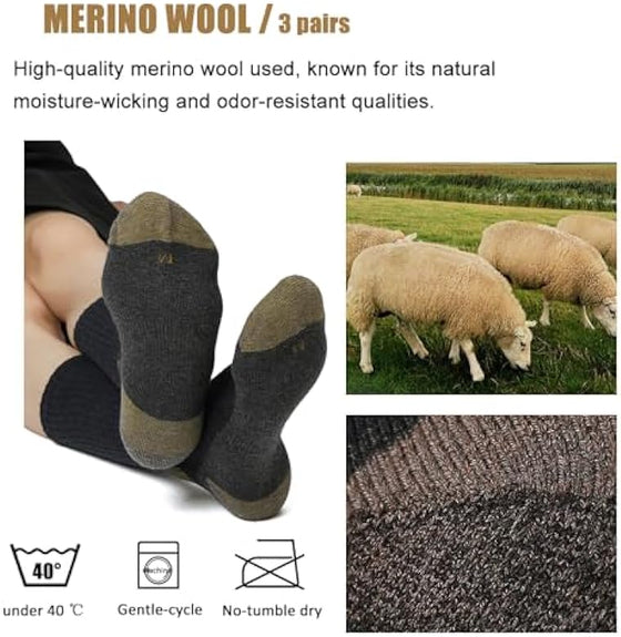 Merino Wool Socks Mens Cushioned Crew Socks 3 Pack - Wander Group
